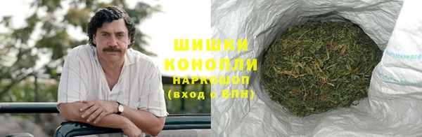 тгк Инсар