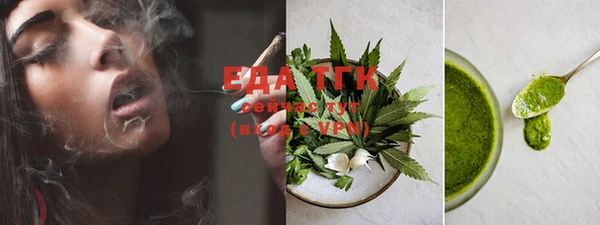 дмт Инта