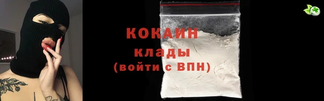 тгк Инсар