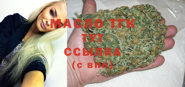 дмт Инта