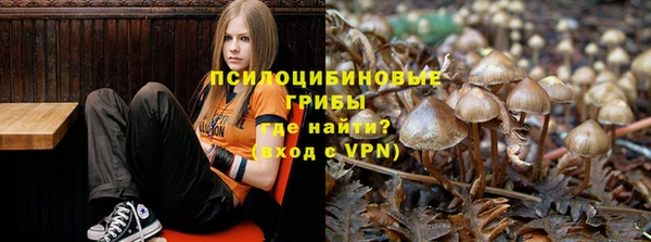 тгк Инсар