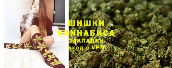 дмт Инта
