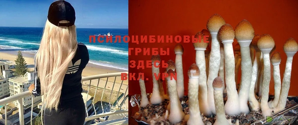 дмт Инта