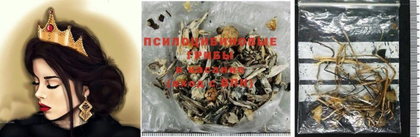 тгк Инсар