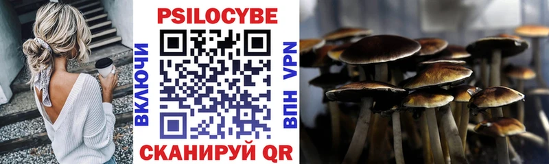 Купить закладки  Киреевск  Псилоцибиновые грибы Psilocybine cubensis 
